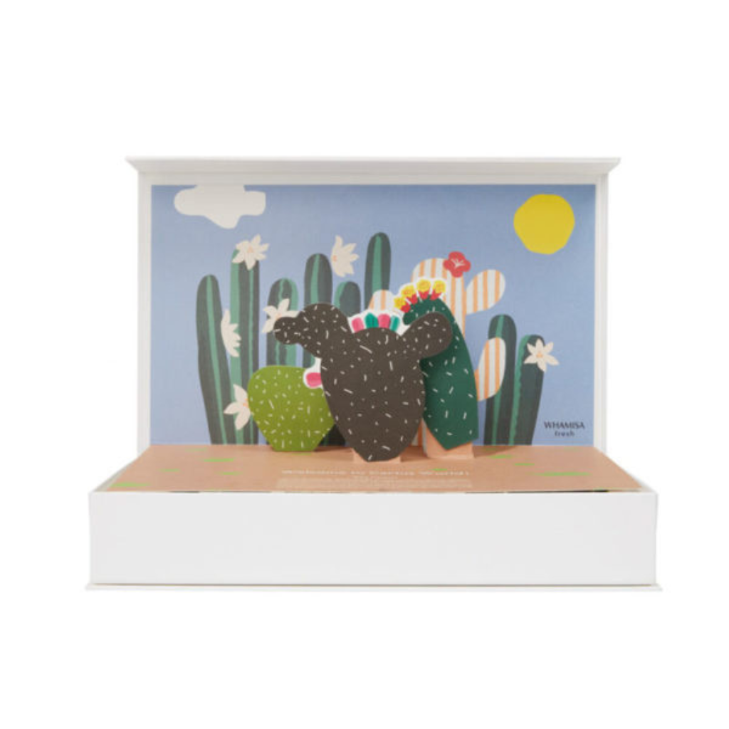 Whamisa | Fresh Cactus Kit - Naturelle.fi
