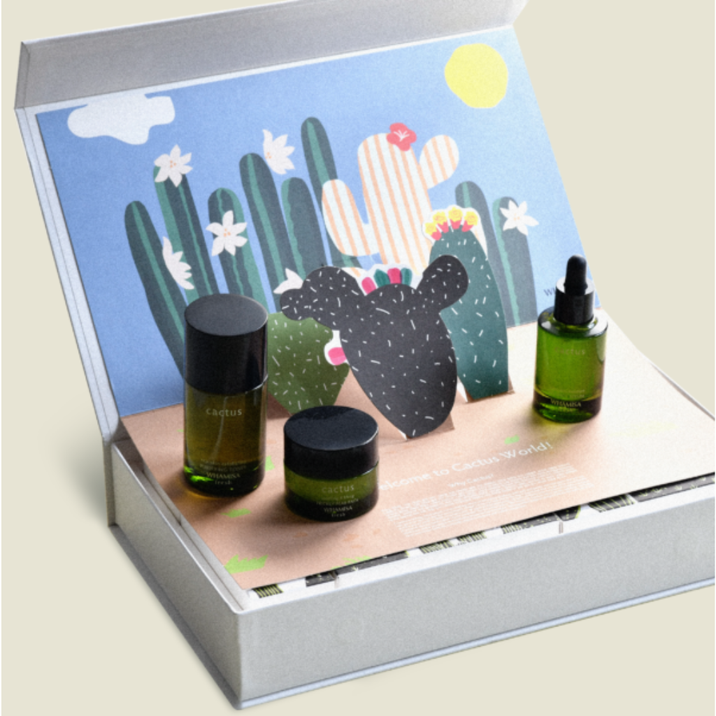 Whamisa | Fresh Cactus Kit - Naturelle.fi