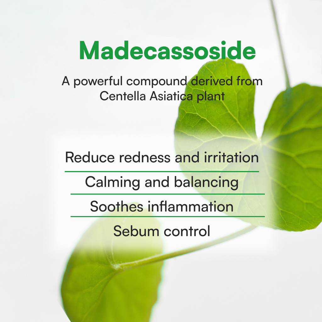 Face Republic | Calming Tea Tree Madecassoside Serum - Naturelle